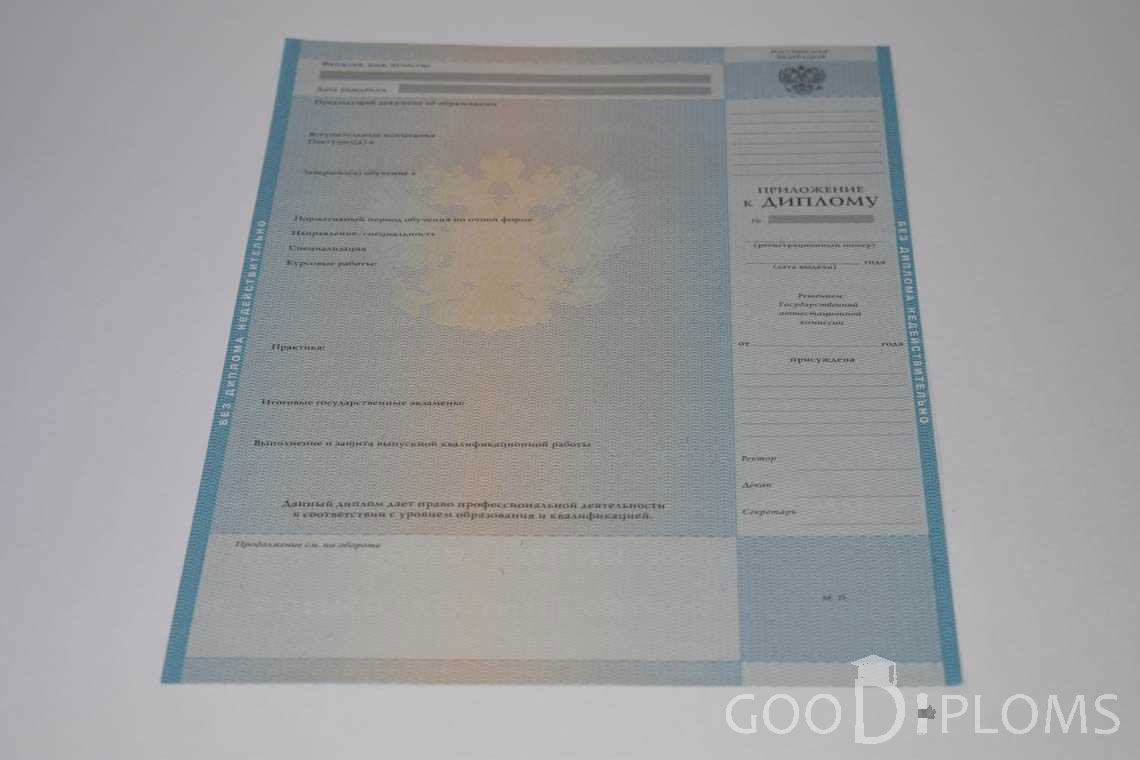 Приложение к Диплому Магистра в период c 2009 по 2010 год - Кременчуг