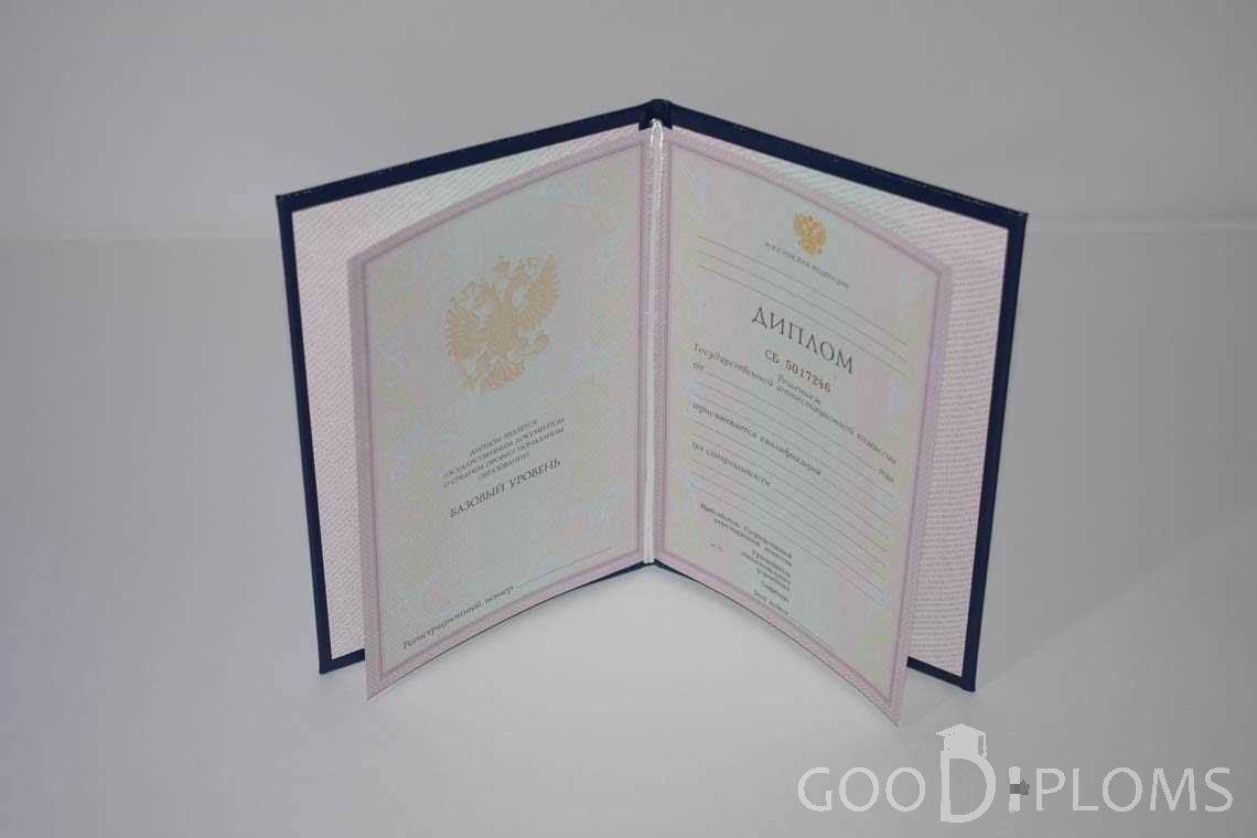 Диплом Техникума  период c 2003 по 2007 год - Кременчуг